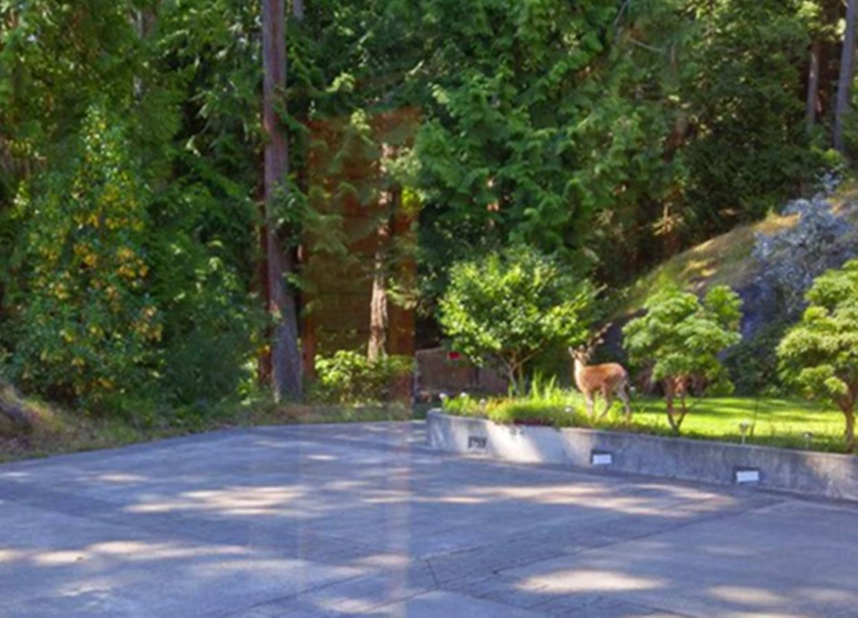 Sunshine Coast Treetop B&B Sechelt Exterior photo